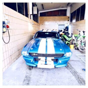 Mustang Überführung